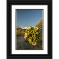 thumbnail image 1 of Illg, Cathy and Gordon 13x18 Black Ornate Wood Framed with Double Matting Museum Art Print Titled - Arizona, Saguaro NP Saguaro cactus blossoms, 1 of 4