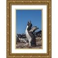 thumbnail image 1 of Illg, Cathy and Gordon 13x18 Gold Ornate Wood Framed with Double Matting Museum Art Print Titled - Bleaker Island Rockhopper penguin calling, 1 of 4