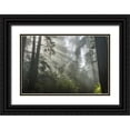thumbnail image 1 of Illg, Cathy and Gordon 14x11 Black Ornate Wood Framed with Double Matting Museum Art Print Titled - California Fog in Ladybird Johnson Grove, 1 of 4