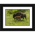 thumbnail image 1 of Illg, Cathy and Gordon 14x11 Black Ornate Wood Framed with Double Matting Museum Art Print Titled - South Dakota, Custer SP Bison mother and calf, 1 of 4