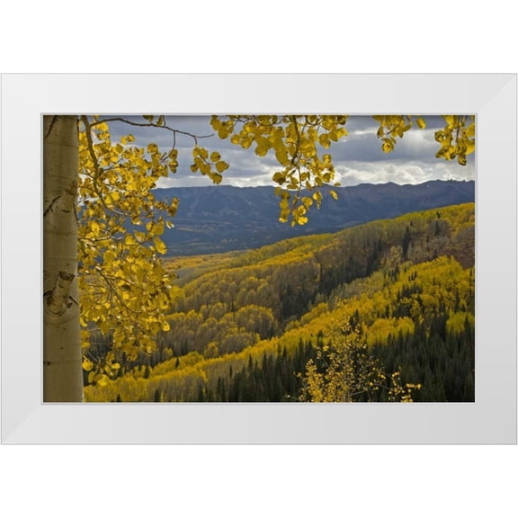 Illg, Cathy and Gordon 14x11 White Modern Wood Framed Museum Art Print Titled - Colorado, Gunnison NF Fall color below Ohio Pass