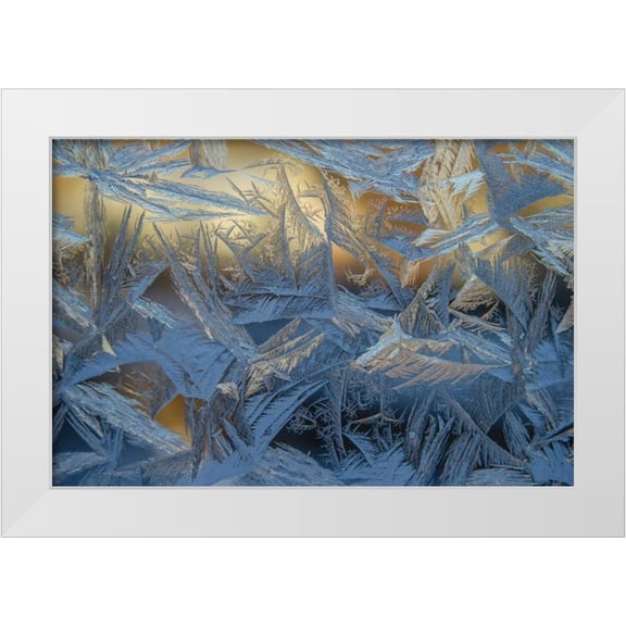 Illg, Cathy and Gordon 14x11 White Modern Wood Framed Museum Art Print Titled - USA, Colorado, Denver Frost on a window