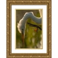 thumbnail image 1 of Illg, Cathy and Gordon 17x24 Gold Ornate Wood Framed with Double Matting Museum Art Print Titled - Florida Profile of great egret, 1 of 4