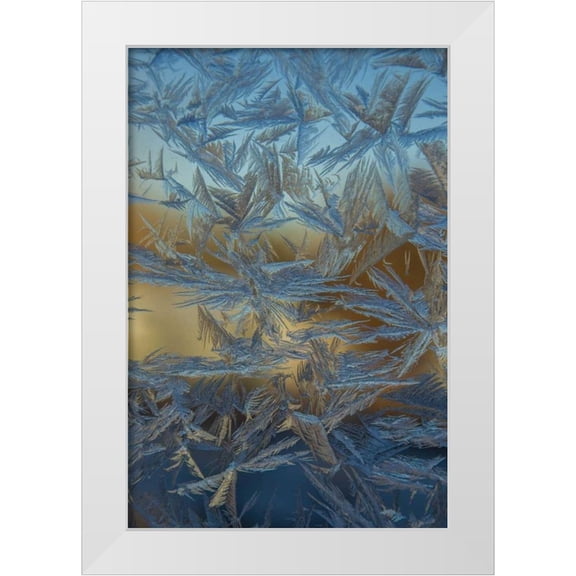 Illg, Cathy and Gordon 17x24 White Modern Wood Framed Museum Art Print Titled - USA, Colorado, Denver Frost on a window