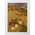 thumbnail image 1 of Illg, Cathy and Gordon 17x24 White Modern Wood Framed Museum Art Print Titled - UT, Grand Staircase Escalante NM Delert Flowers, 1 of 4