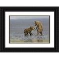 thumbnail image 1 of Illg, Cathy and Gordon 18x13 Black Ornate Wood Framed with Double Matting Museum Art Print Titled - AK, Lake Clark NP Coastal grizzly bear cubs, 1 of 4