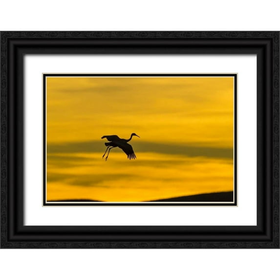 Illg, Cathy and Gordon 18x13 Black Ornate Wood Framed with Double Matting Museum Art Print Titled - New Mexico Silhouette of Sandhill crane flying