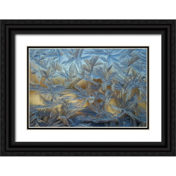 Illg, Cathy and Gordon 18x13 Black Ornate Wood Framed with Double Matting Museum Art Print Titled - USA, Colorado, Denver Frost on a window