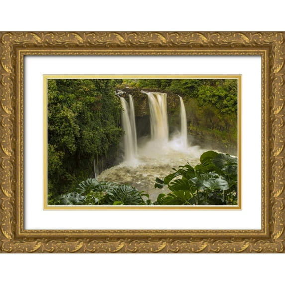 Illg, Cathy and Gordon 18x13 Gold Ornate Wood Framed with Double Matting Museum Art Print Titled - HI, Big Island, Wailuku River, Rainbow Falls