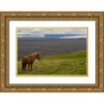 thumbnail image 1 of Illg, Cathy and Gordon 18x13 Gold Ornate Wood Framed with Double Matting Museum Art Print Titled - Iceland, Skaftafell NP Icelandic horse, 1 of 4