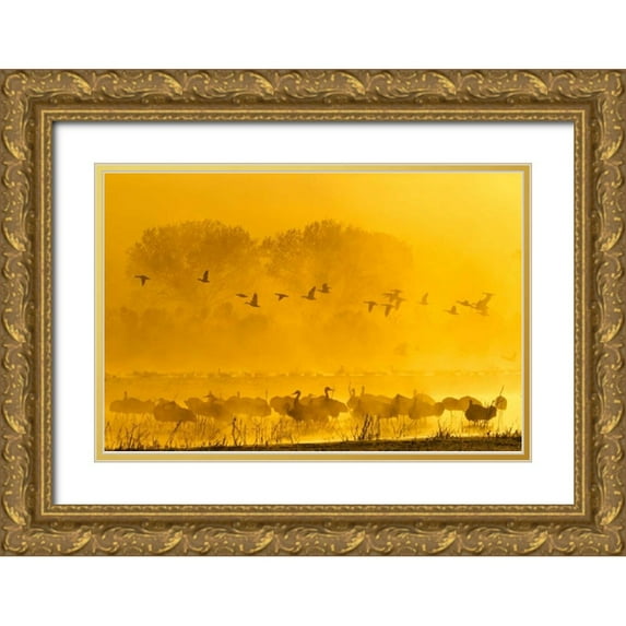 Illg, Cathy and Gordon 18x13 Gold Ornate Wood Framed with Double Matting Museum Art Print Titled - New Mexico Sandhill cranes and snow geese in fog