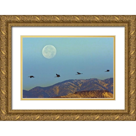 Illg, Cathy and Gordon 18x13 Gold Ornate Wood Framed with Double Matting Museum Art Print Titled - New Mexico Sandhill cranes fly by full moon