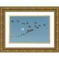 thumbnail image 1 of Illg, Cathy and Gordon 18x13 Gold Ornate Wood Framed with Double Matting Museum Art Print Titled - New Mexico Sandhill cranes fly past full moon, 1 of 4