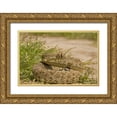 thumbnail image 1 of Illg, Cathy and Gordon 18x13 Gold Ornate Wood Framed with Double Matting Museum Art Print Titled - TX, Hidalgo Co, Western diamondback rattlesnake, 1 of 4