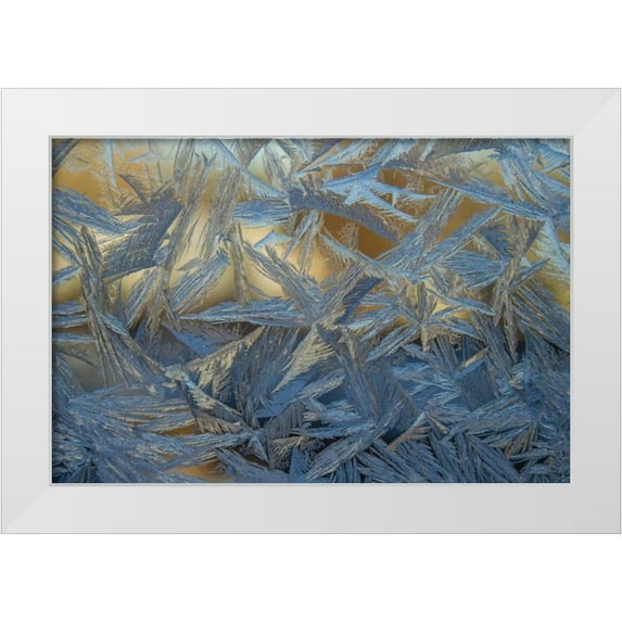 Illg, Cathy and Gordon 18x13 White Modern Wood Framed Museum Art Print Titled - USA, Colorado, Denver Frost on a window