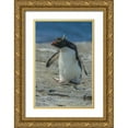 thumbnail image 1 of Illg, Cathy and Gordon 23x32 Gold Ornate Wood Framed with Double Matting Museum Art Print Titled - Bleaker Island Rockhopper penguin hopping, 1 of 4