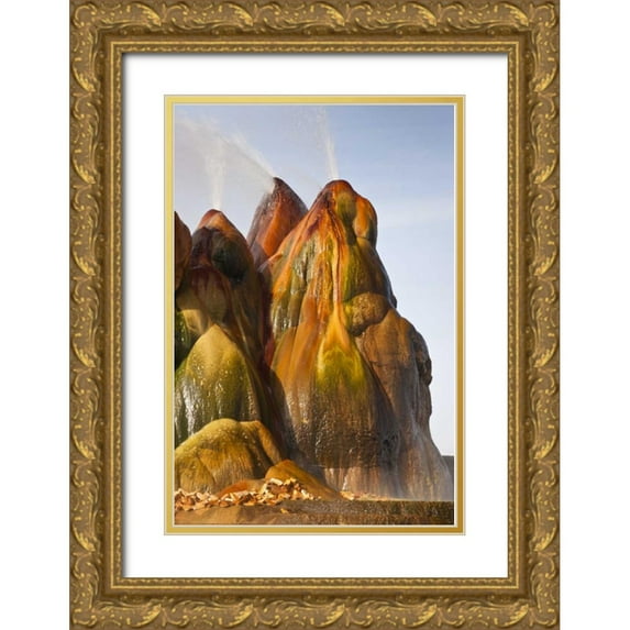 Illg, Cathy and Gordon 23x32 Gold Ornate Wood Framed with Double Matting Museum Art Print Titled - Nevada, Black Rock Desert View of the Fly Geyser