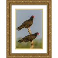 thumbnail image 1 of Illg, Cathy and Gordon 23x32 Gold Ornate Wood Framed with Double Matting Museum Art Print Titled - Texas, Hidalgo Co Turkey vulture pair on stump, 1 of 4