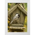 thumbnail image 1 of Illg, Cathy and Gordon 23x32 White Modern Wood Framed Museum Art Print Titled - North Carolina, Carolina chickadee at birdhouse, 1 of 4