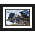 thumbnail image 1 of Illg, Cathy and Gordon 24x17 Black Ornate Wood Framed with Double Matting Museum Art Print Titled - CA, San Luis Obispo, Sea otter wrapped in kelp, 1 of 4