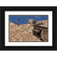 thumbnail image 1 of Illg, Cathy and Gordon 24x17 Black Ornate Wood Framed with Double Matting Museum Art Print Titled - CO, Mt Evans Mountain goat climbs a building, 1 of 4