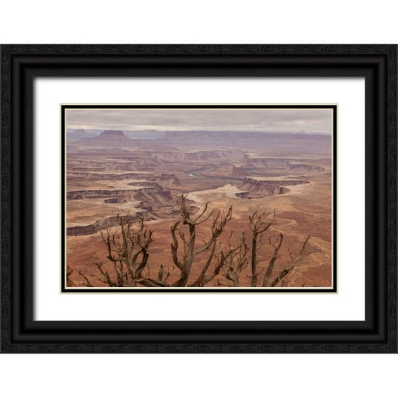 Illg, Cathy and Gordon 24x17 Black Ornate Wood Framed with Double Matting Museum Art Print Titled - USA, Utah, Canyonlands NP White Rim landscape