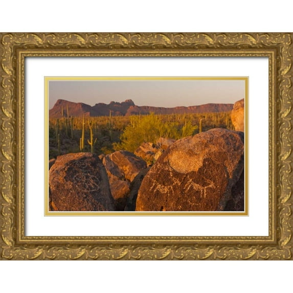 Illg, Cathy and Gordon 24x17 Gold Ornate Wood Framed with Double Matting Museum Art Print Titled - AZ, Sonoran Desert Saguaro and petroglyphs