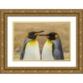 thumbnail image 1 of Illg, Cathy and Gordon 24x17 Gold Ornate Wood Framed with Double Matting Museum Art Print Titled - East Falkland Pair of king penguins, 1 of 4