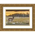 thumbnail image 1 of Illg, Cathy and Gordon 24x17 Gold Ornate Wood Framed with Double Matting Museum Art Print Titled - South Dakota, Custer SP Pronghorn at sunrise, 1 of 4