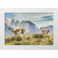 thumbnail image 1 of Illg, Cathy and Gordon 24x17 White Modern Wood Framed Museum Art Print Titled - Chile, Patagonia, Torres del Paine Guanacos, 1 of 4