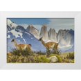 thumbnail image 1 of Illg, Cathy and Gordon 24x17 White Modern Wood Framed Museum Art Print Titled - Chile, Patagonia, Torres del Paine Guanacos, 1 of 4