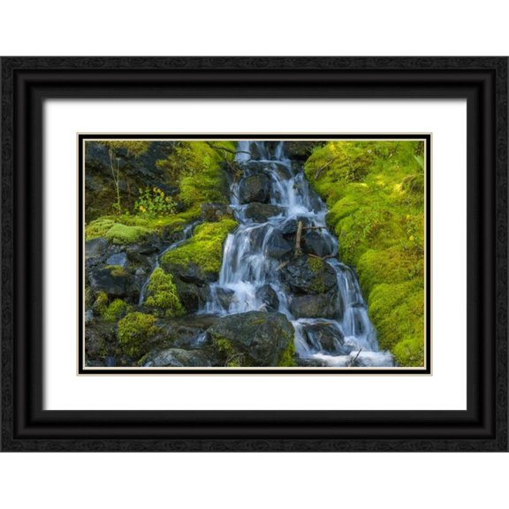 Illg, Cathy and Gordon 32x23 Black Ornate Wood Framed with Double Matting Museum Art Print Titled - Colorado, San Juan Mts Mossy hillside