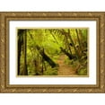 thumbnail image 1 of Illg, Cathy and Gordon 32x23 Gold Ornate Wood Framed with Double Matting Museum Art Print Titled - New Zealand, North Island Trail through a forest, 1 of 4