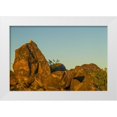 thumbnail image 1 of Illg, Cathy and Gordon 32x23 White Modern Wood Framed Museum Art Print Titled - Arizona, Painted Rocks Rocks with petroglyphs, 1 of 4