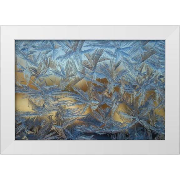 Illg, Cathy and Gordon 32x23 White Modern Wood Framed Museum Art Print Titled - USA, Colorado, Denver Frost on a window