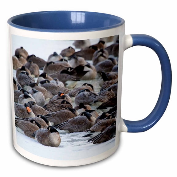 3drose, Illinois - Canada Geese Flock on Frozen Lake., 11oz Two-tone Blue Mug
