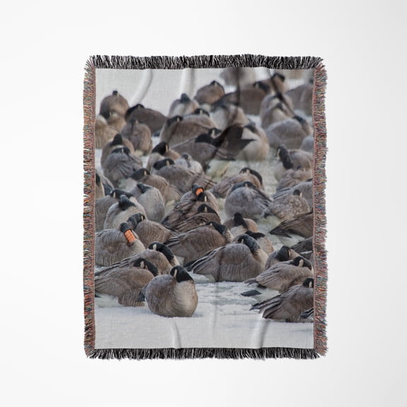 Illinois - Canada Geese Flock On Frozen Lake., Woven Blanket