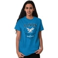 thumbnail image 1 of Illinois Cute Floral Bald Eagle Women's Graphic T Shirt Tees Brisco Brands 5X, 1 of 6