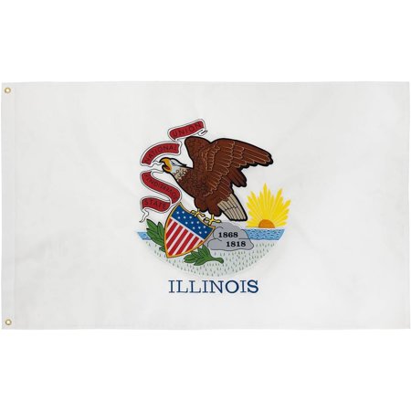 FLAGWIN Illinois Flag 3x5 ft Heavy Duty Nylon Outdoor Decorative Banner with Brass Grommets for Garden price history and forecast - FLAGWIN ES210D0305FZ181