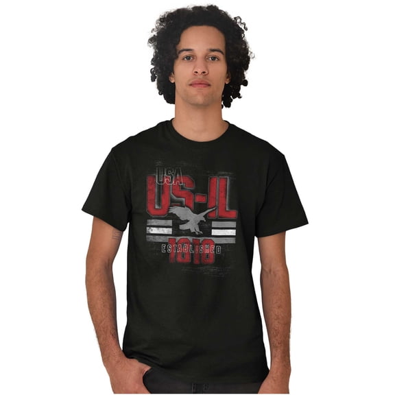 Illinois IL Distressed Vintage Eagle Men's Graphic T Shirt Tees Brisco Brands M