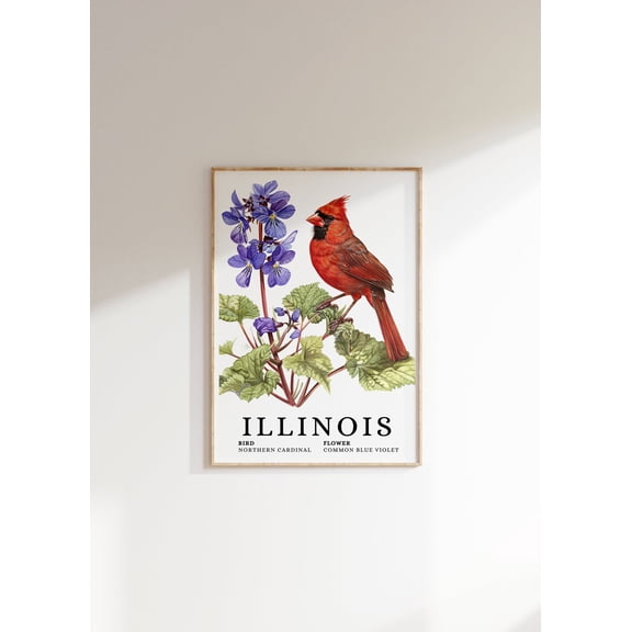 Illinois State Bird & Flower Art Poster: Cardinal, Blue Violet, Unframed Poster Size 8x12