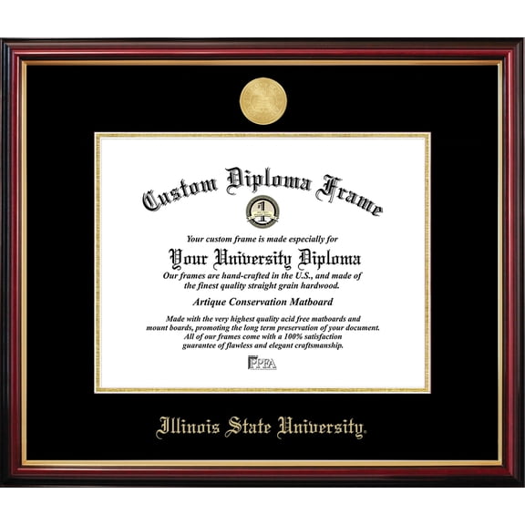 Illinois State Petite Diploma Frame