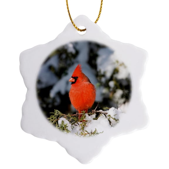 3drose, Illinois, Usa - Northern Cardinal on Keteleeri Juniper, 3 inch Snowflake Porcelain Ornament