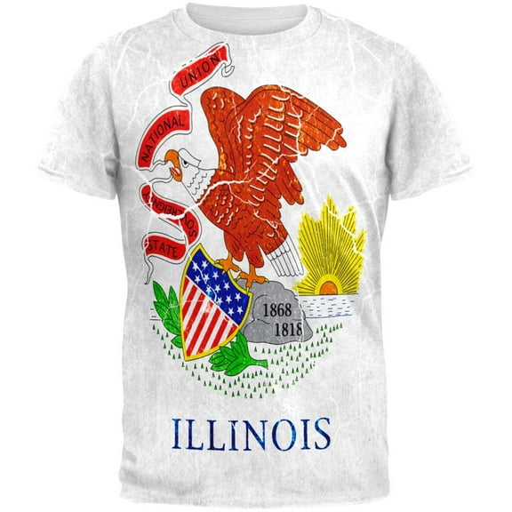 Illinois Vintage Distressed State Flag All Over Mens T Shirt Multi 2XL