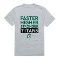 thumbnail image 1 of Illinois Wesleyan University Titans Workout T-Shirt, Heather Grey - Small, 1 of 1