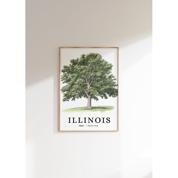 Illinois White Oak Tree : Minimalist Botanical Art Unframed Paper Print