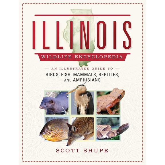 Illinois Wildlife Encyclopedia : An Illustrated Guide to Birds, Fish, Mammals, Reptiles, and Amphibians (Hardcover)