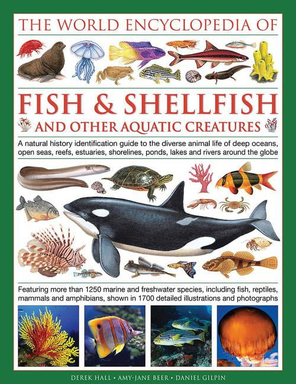 The Illlustrated Encyclopedia of Fish & Shellfish of the