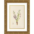 thumbnail image 1 of Illtyd Buller Pole-Evans 17x24 Gold Ornate Framed and Double Matted Museum Art Print Titled - Clerodendron Triphyllum (1921), 1 of 4
