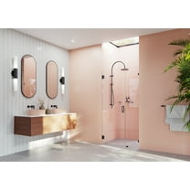 Illume 43.25 in. x 78 in. Wall Hinged Glass Shower Enclosure